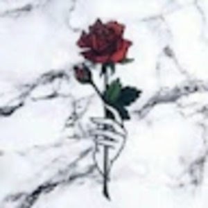 Meet your Posher, Liz